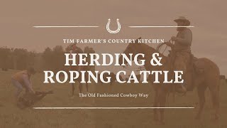 Herding and Roping Cattle the Old Fashioned Cowboy Way [upl. by Eninnej]