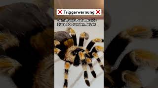 Spinne mit Pastellkreide [upl. by Aikin]