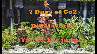 7 Days of Co2 [upl. by Allegra364]