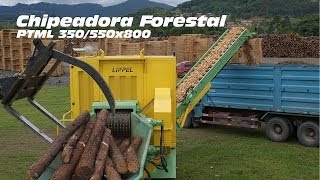 Chipeadora Forestal de alta produción PTML 350550x800  chipeando madera para produción de chips [upl. by Joon]