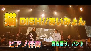 猫 DISH あいみょん 楽譜 シンセシア ピアノ伴奏 弾き語り バンド [upl. by Neivad]