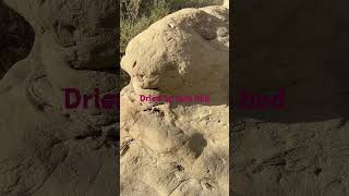 Ashland Oregon emigrant lake dries up exposing sandstone with strange carved symbols [upl. by Notlef]