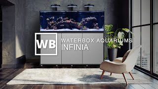 Waterbox Aquariums INFINIA [upl. by Wyndham]