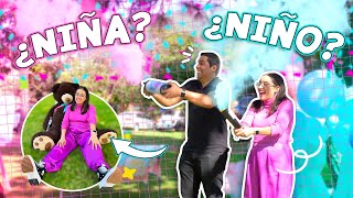 ¿Es NIÑA O NIÑO REVELACIÓN DE GÉNERO DE NUESTRO BEBÉ 💗💙Craftingeek [upl. by Ezmeralda]