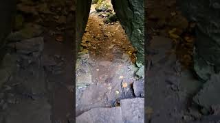 Niagara Glen Trail under Devils Arch niagaraglen niagarafallsattractions niagarahiking [upl. by Snilloc]