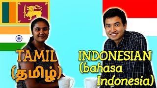 Similarities Between Tamil and Indonesian [upl. by Lledal]