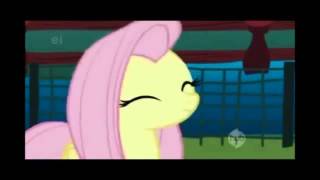 Fluttershys Lament 1 hour loop [upl. by Eeryn51]