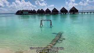 Amazing Lunch Buffet with Beautiful Sea View  Mercure Kooddoo Resort Maldives [upl. by Yblok564]