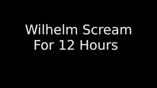 Wilhelm Scream For 12 Hours [upl. by Elinor]