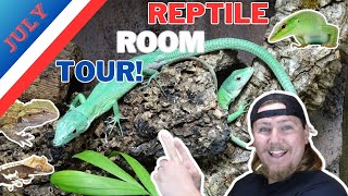 HUGE CHANGES Reptile Room Tour July 2024 [upl. by Robet]