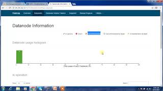 Decommissioning host using Cloudera Manager [upl. by Fatma]