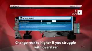 F1 2013 Singapore setup tips amp tricks w TRL Limitless 137564 [upl. by Sydalg813]