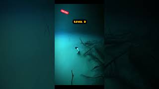 Test Your BatoPhobia with Swiming  Level 1 to 4shortvideo shorts [upl. by Jasmina]