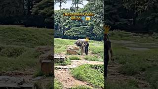 Brave Sigma Man Feeds Rhinos 🦏😱 rhino sigmamale wildlife [upl. by Goodhen]