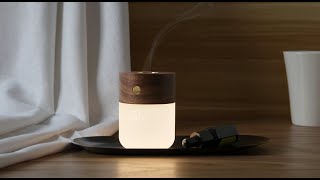 Gingko Smart Diffuser Lamp [upl. by Aiuqenehs235]