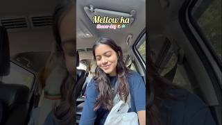 Mellow 🐶ka vaccination 💉 aur shower 🧼wala dinn aa he gaya shorts shortsvideo [upl. by Gala505]