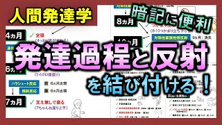 【人間発達学③】発達過程と反射の関係（暗記に便利）【理学療法士・作業療法士】 [upl. by Leahcim]