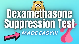 Dexamethasone Suppression Test  EXPLAINED CLEARLY [upl. by Dehnel623]