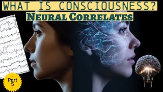 Consciousness Part 5 Neural Correlates [upl. by Oglesby]