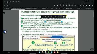 Fructose and galactose metabolism [upl. by Nylave]