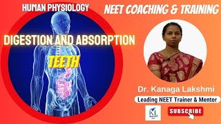 Digestion and Absorption HUMAN DENTITION  Dr Kanaga Lakshmi  NEET Biology 2023  NEET Coaching [upl. by Trici103]