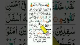 Wattine Wazzaitun Surah  Watten Wazaitoon [upl. by Aigneis268]