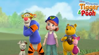 My Friends Tigger and Pooh S01E09 Piglets Hole Problem  Review [upl. by Bessie361]