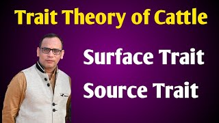 Trait Theory of Cattle l Cattle Personality Theory l Surface Trait l Source Trait by Dr Vivek [upl. by Anrev]