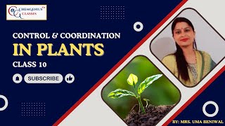 Understanding Coordination in Plants  Class 10  ChemGenius Classes  By Mrs Uma Beniwal Madam [upl. by Ynohtna250]