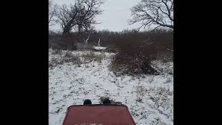 MTD RANCH KING LAWN TRACTOR MAKING FIREWOOD 🔥 [upl. by Eceer1]