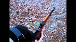 1941 Soviet SVT40 762x54R with Slow motion [upl. by Roscoe522]