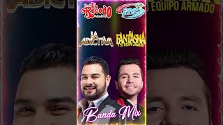 Banda MS La Adictiva La Arrolladora Banda El Recodo Mix Bandas Románticas [upl. by Hines971]