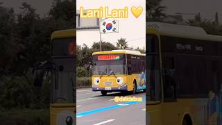 🇰🇷🇭🇰🇲🇴 Lani Bus tayobus [upl. by Aretha]