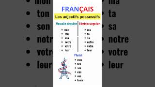 Les adjectifs possessifs en français français francesadjectifs [upl. by Ketchum825]