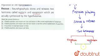 Assertion Neurohypophysis is under the direct regulation of the hypothalamus [upl. by Halac]