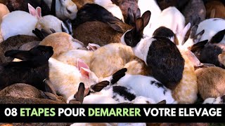 08 ÉTAPES POUR DÉMARRER VOTRE ÉLEVAGE DE LAPINS [upl. by Esahc]