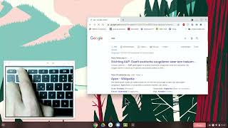 Toetsenbord functies in Chromebook [upl. by Gefell]