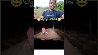 ସବୁ ଭୁଲ୍ ଆମର 😂😂😂😂odiashortvideo funnyshorts girls [upl. by Llehsim546]