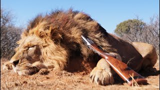 MASSIVE LION AND 45quot BUFFALO HUNT WITH CHICO amp SONS  TSESSEBE SAFARIS [upl. by Laise]