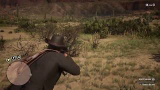 Red Dead Redemption 2  Desert Iguana Location  Hunting Perfect Iguana Skin [upl. by Ailadgim]