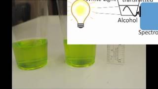 Chlorophyll Fluorescence Lab [upl. by Candace]