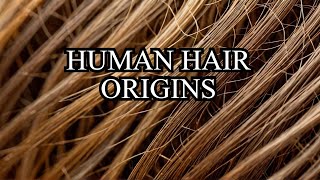 Human Hair Began in This Way The Unexpected Origin Story [upl. by Calandria]