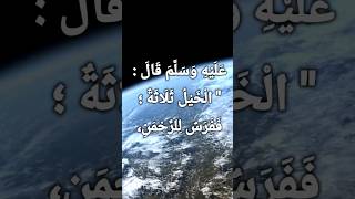 أنواع الخيول صحيحالبخاري احاديثالرسولﷺ [upl. by Elyc]