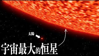 爲什麽沒有直徑壹光年的恒星？2024年目前已知的宇宙中最大恒星！WOH G64！ [upl. by Tips]