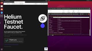 Helium Validator Testnet Staking Tutorial [upl. by Tyler]