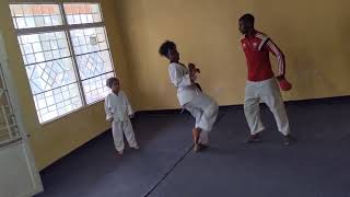 karate mawashi Geri training TheBest667 [upl. by Enyamert557]