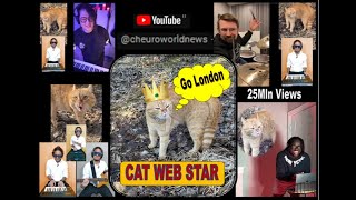 GO LONDON CAT SONG [upl. by Nnaitsirk]