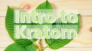 Intro to Kratom Mitragyna Speciosa [upl. by Reine502]