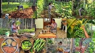 அவகேடோ🥑 இரம்புட்டான் 🌽சோள சந்தவைனு ஒரு புது விதமான அனுபவம்Vegetable harvsetingplanting new trees [upl. by Paymar892]