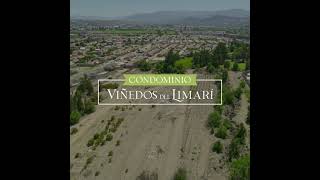 Viñedos del Limarí [upl. by Esli107]